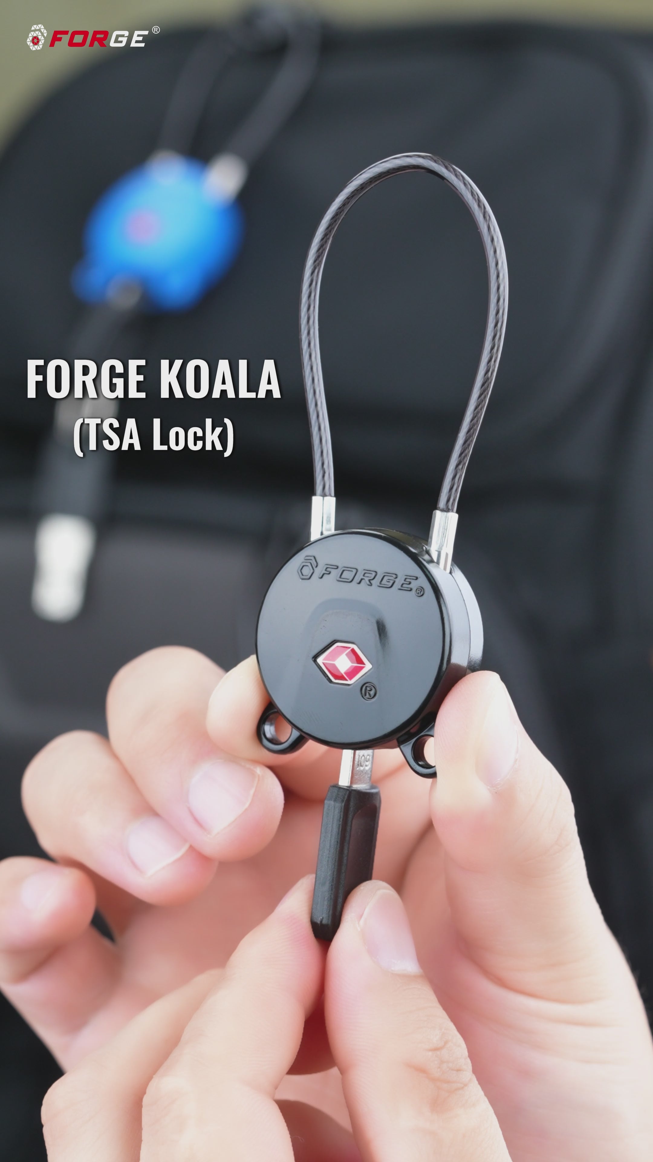 Candados para equipaje Forge aprobados por la TSA, candados de viaje con llave de puntos ultraseguros, llave TSA006, 6 candados negros